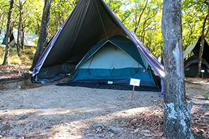 Camping in Yala or Udawalawe National Park